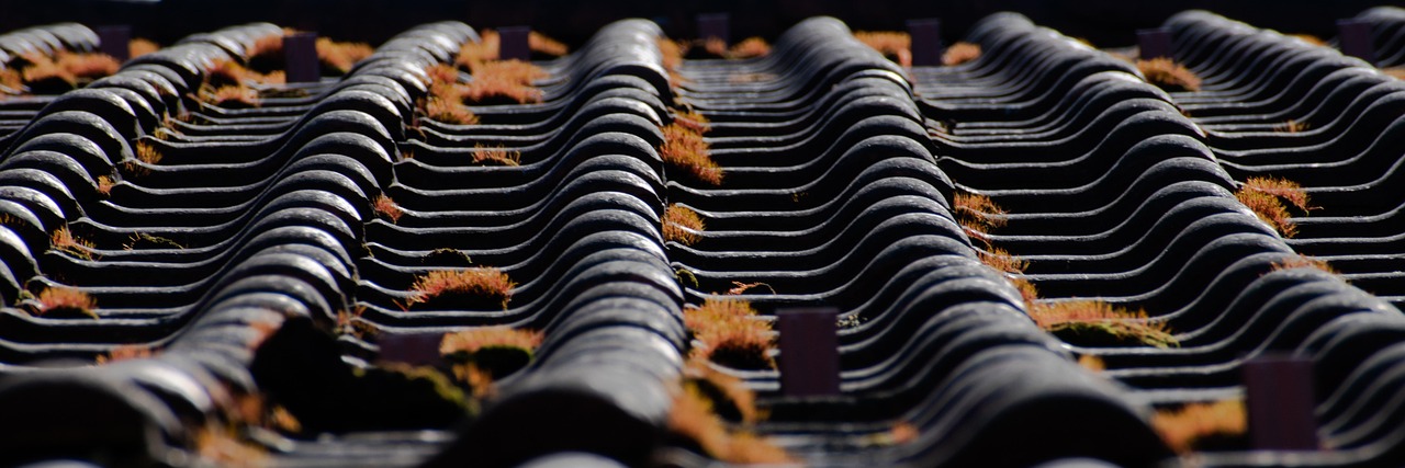 roof, roof tiles, brick, roofing, moss, housetop, texture